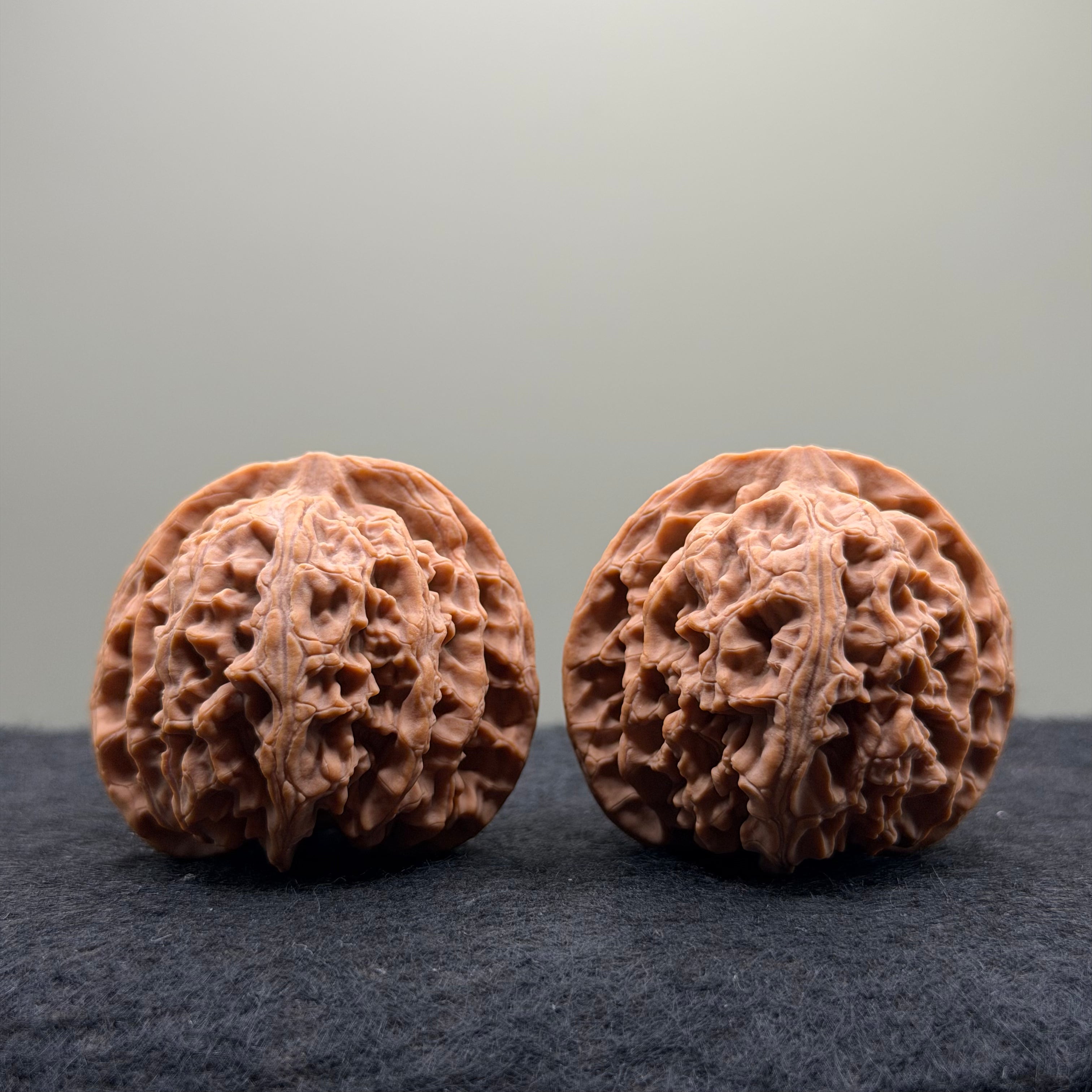 Apple Orchard Wenwan Walnut