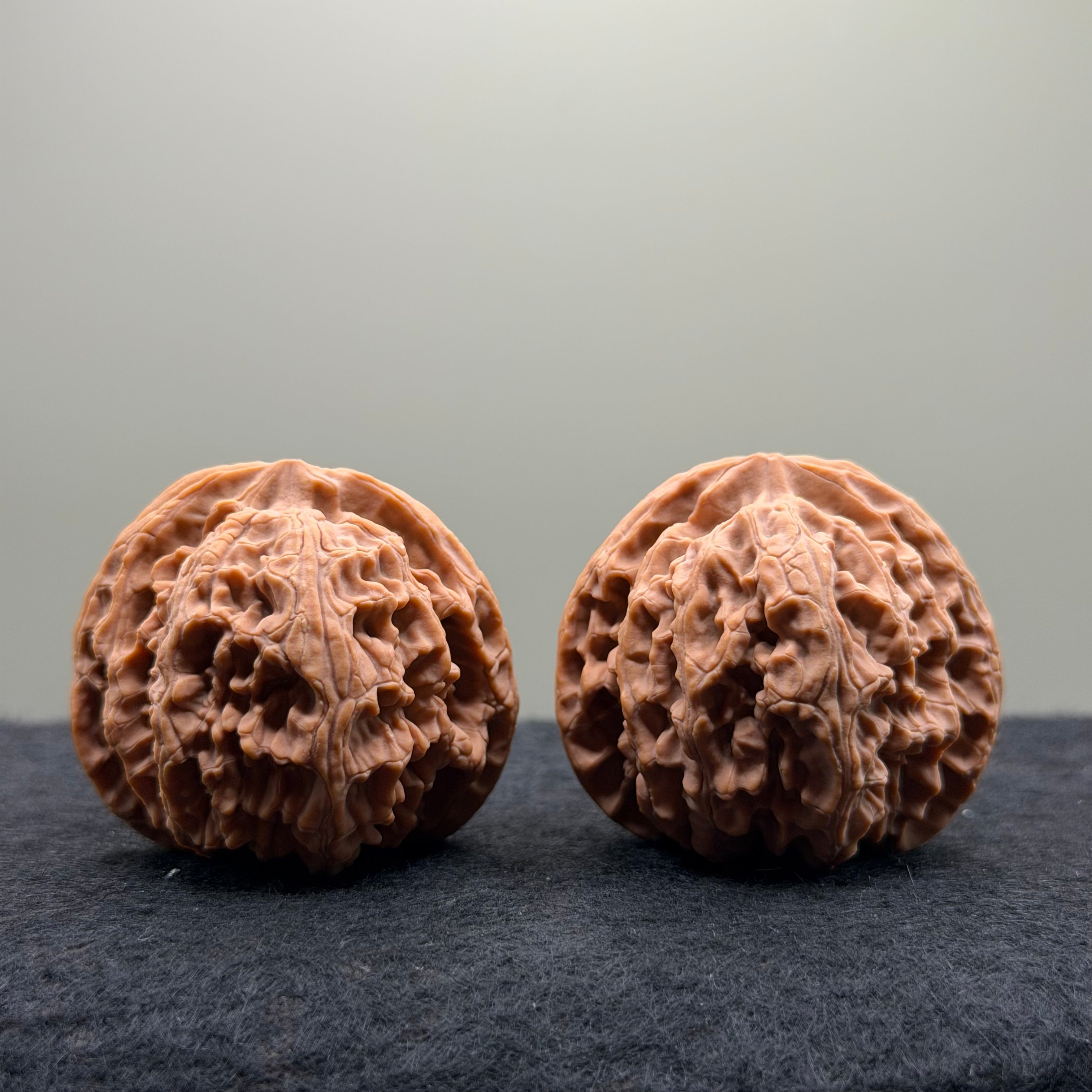 Apple Orchard Wenwan Walnut