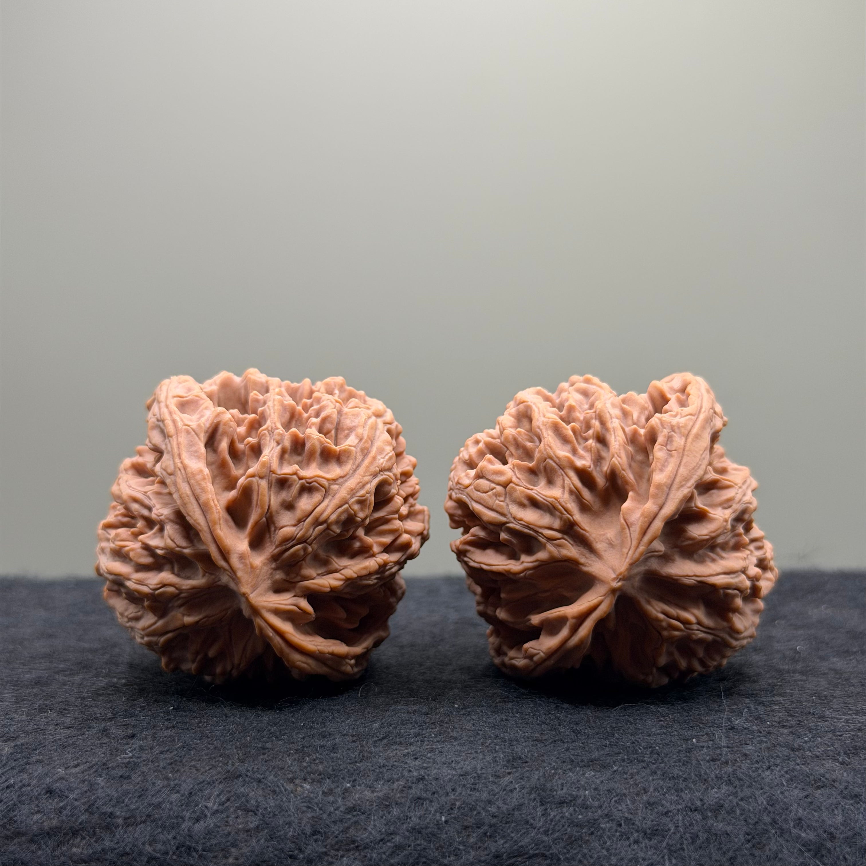 Apple Orchard Wenwan Walnut