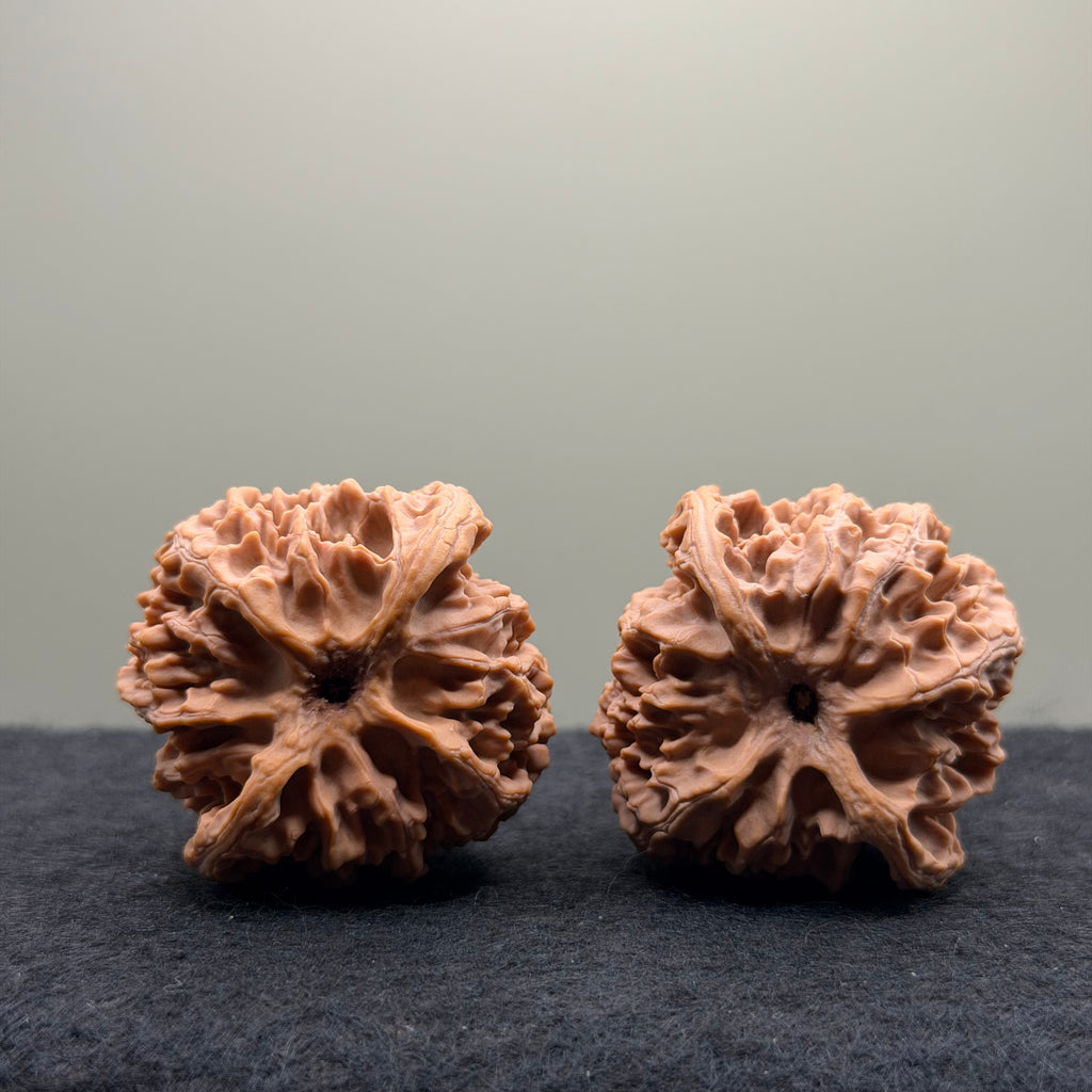 Apple Orchard Wenwan Walnut