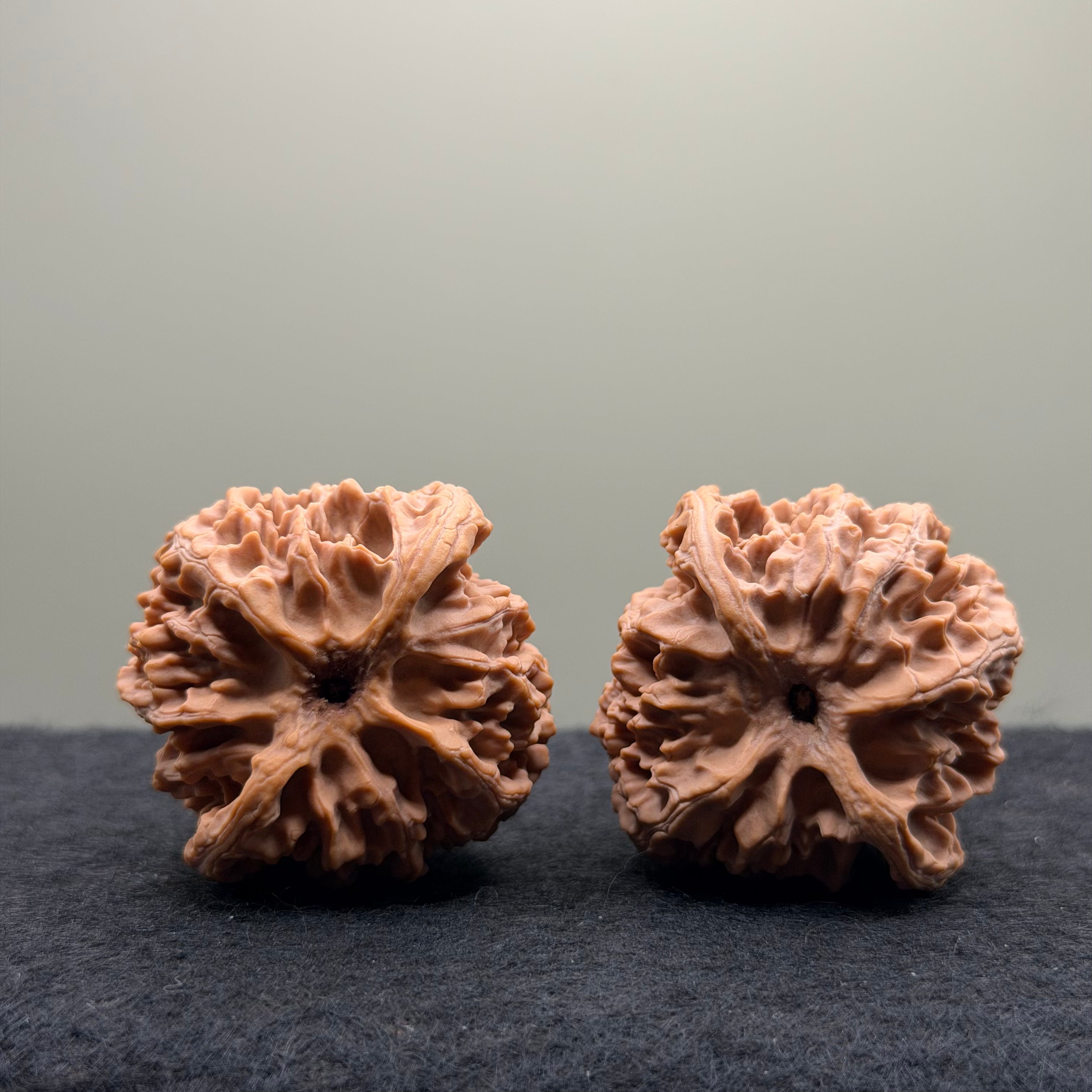 Apple Orchard Wenwan Walnut