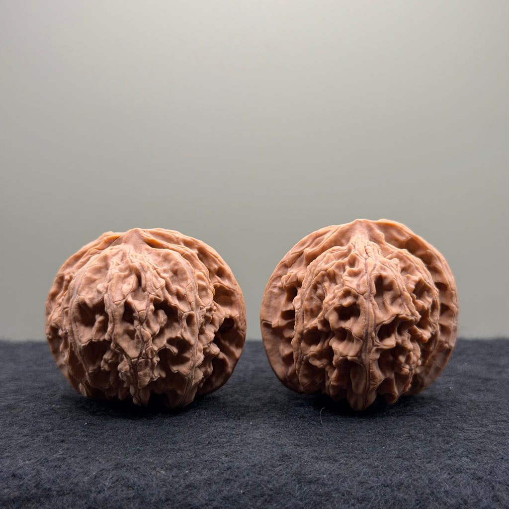 Apple Orchard Wenwan Walnut