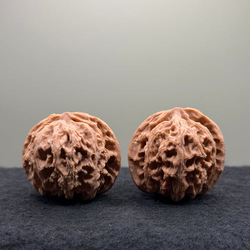 Apple Orchard Wenwan Walnut