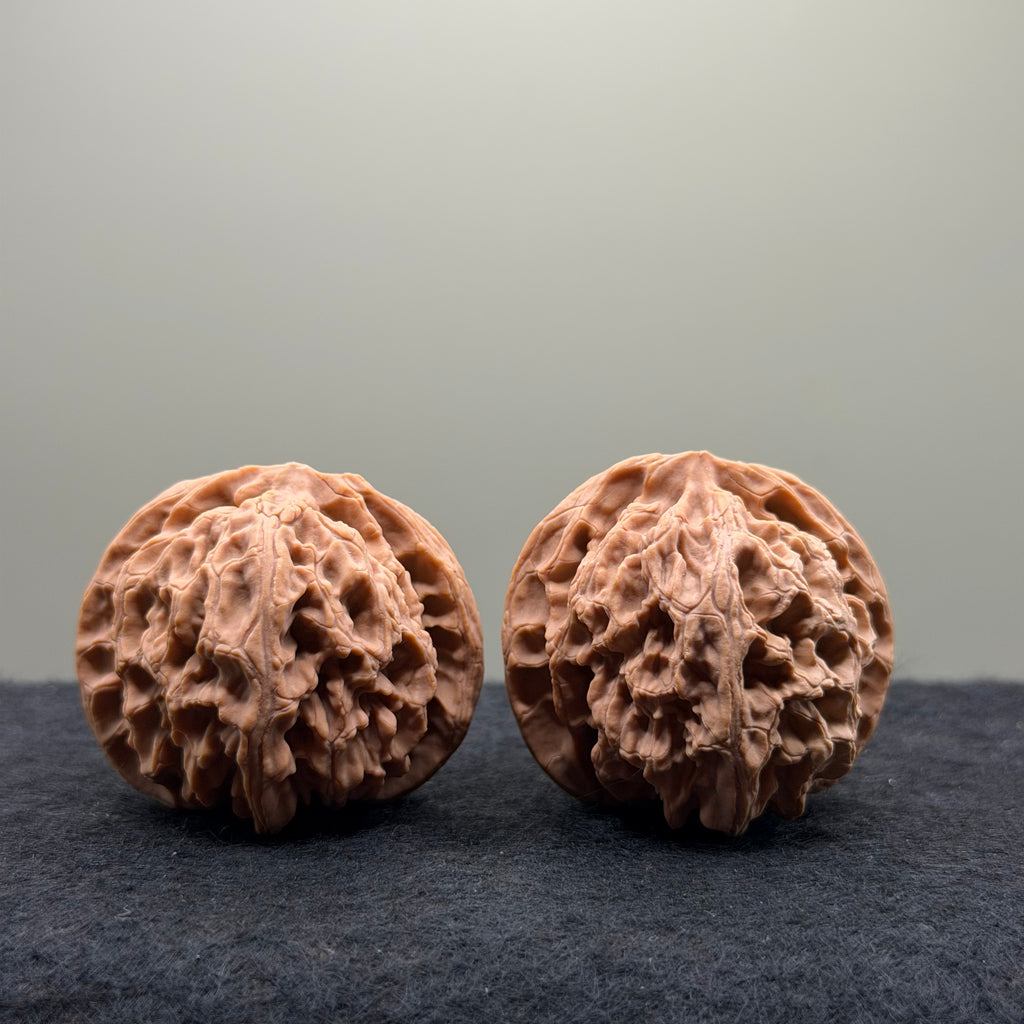 Apple Orchard Wenwan Walnut