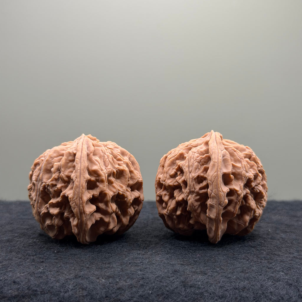 Apple Orchard Wenwan Walnut