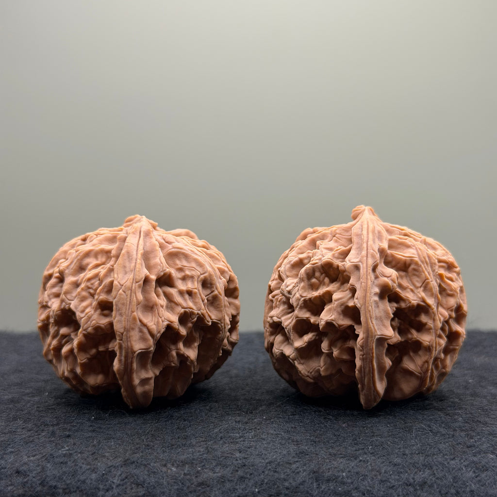Apple Orchard Wenwan Walnut