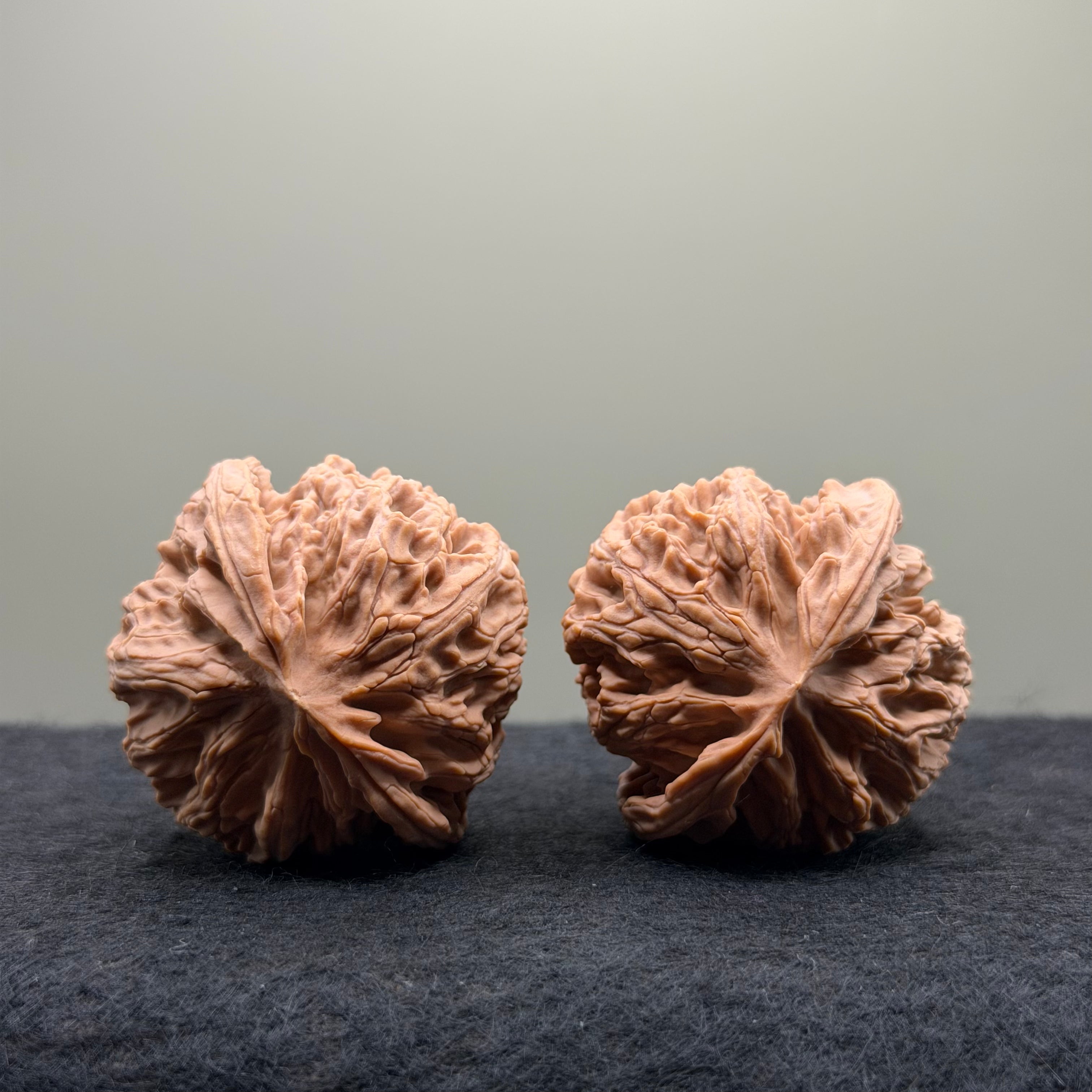 Apple Orchard Wenwan Walnut