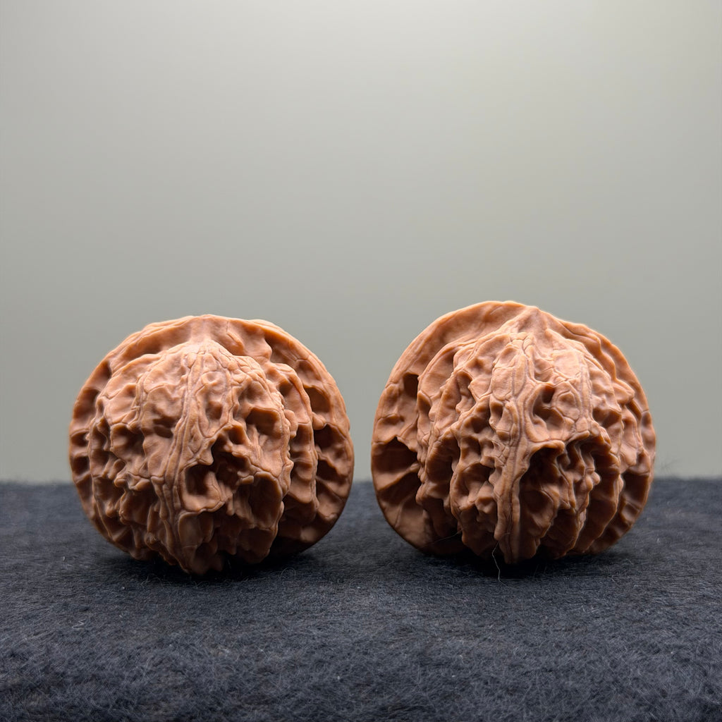 Apple Orchard Wenwan Walnut