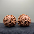 Apple Orchard Wenwan Walnut