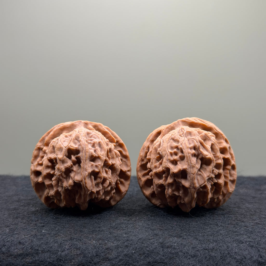 Apple Orchard Wenwan Walnut