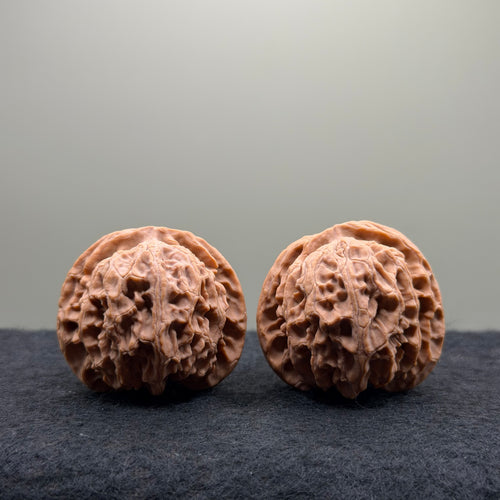 Apple Orchard Wenwan Walnut