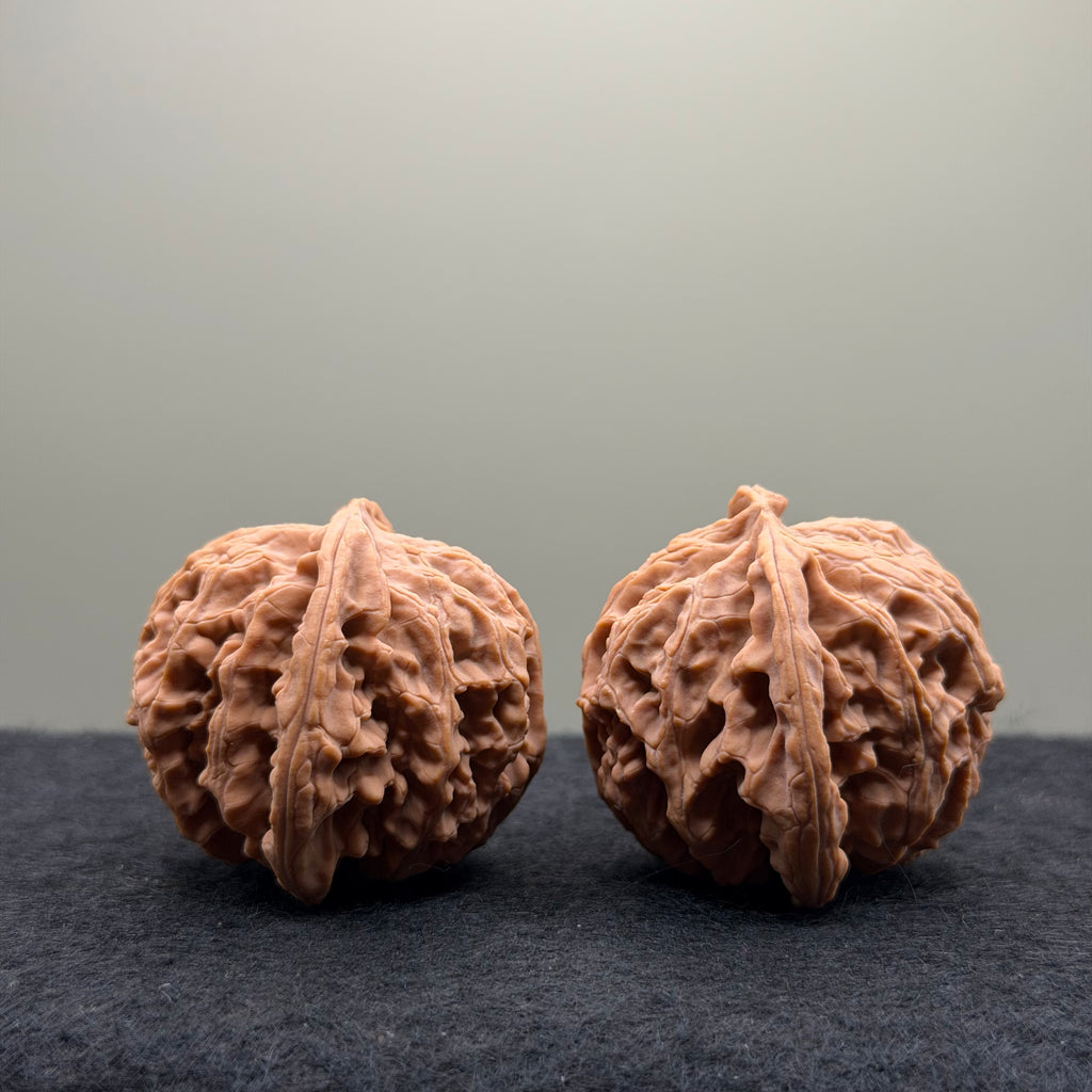 Apple Orchard Wenwan Walnut