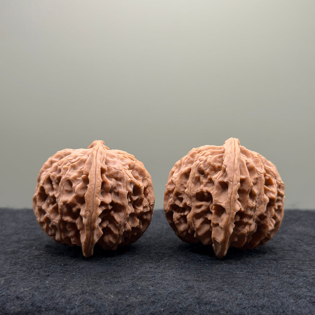 Apple Orchard Wenwan Walnut