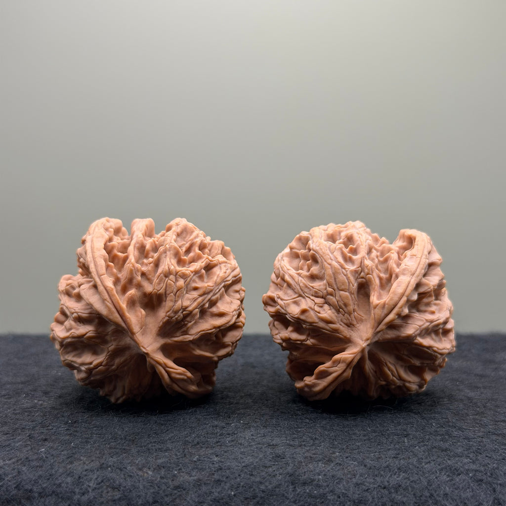 Apple Orchard Wenwan Walnut