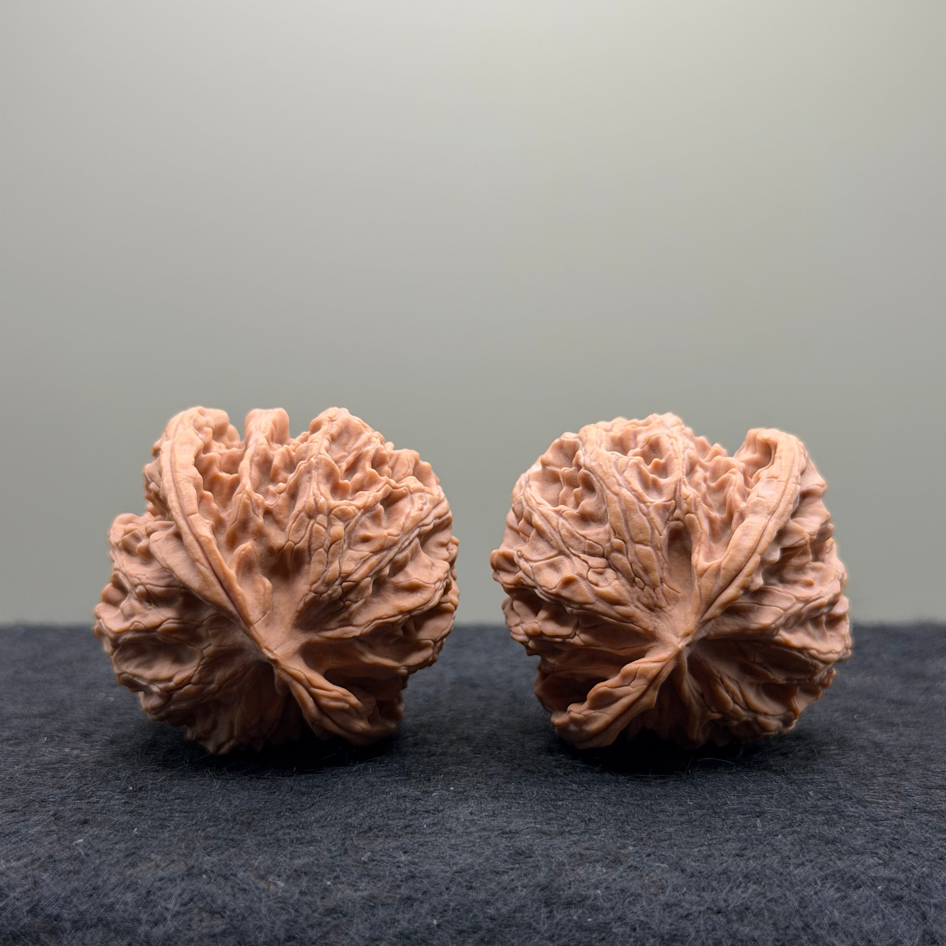Apple Orchard Wenwan Walnut