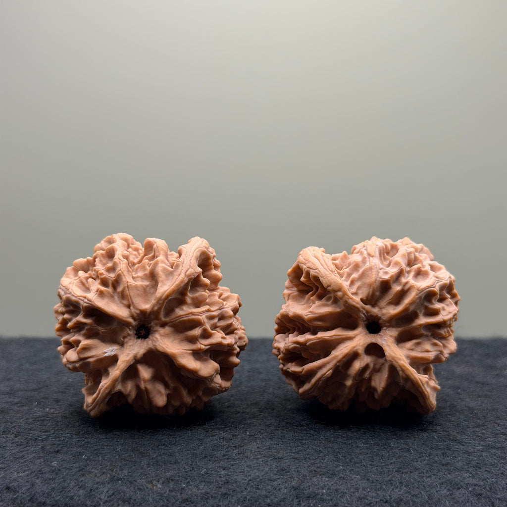 Apple Orchard Wenwan Walnut