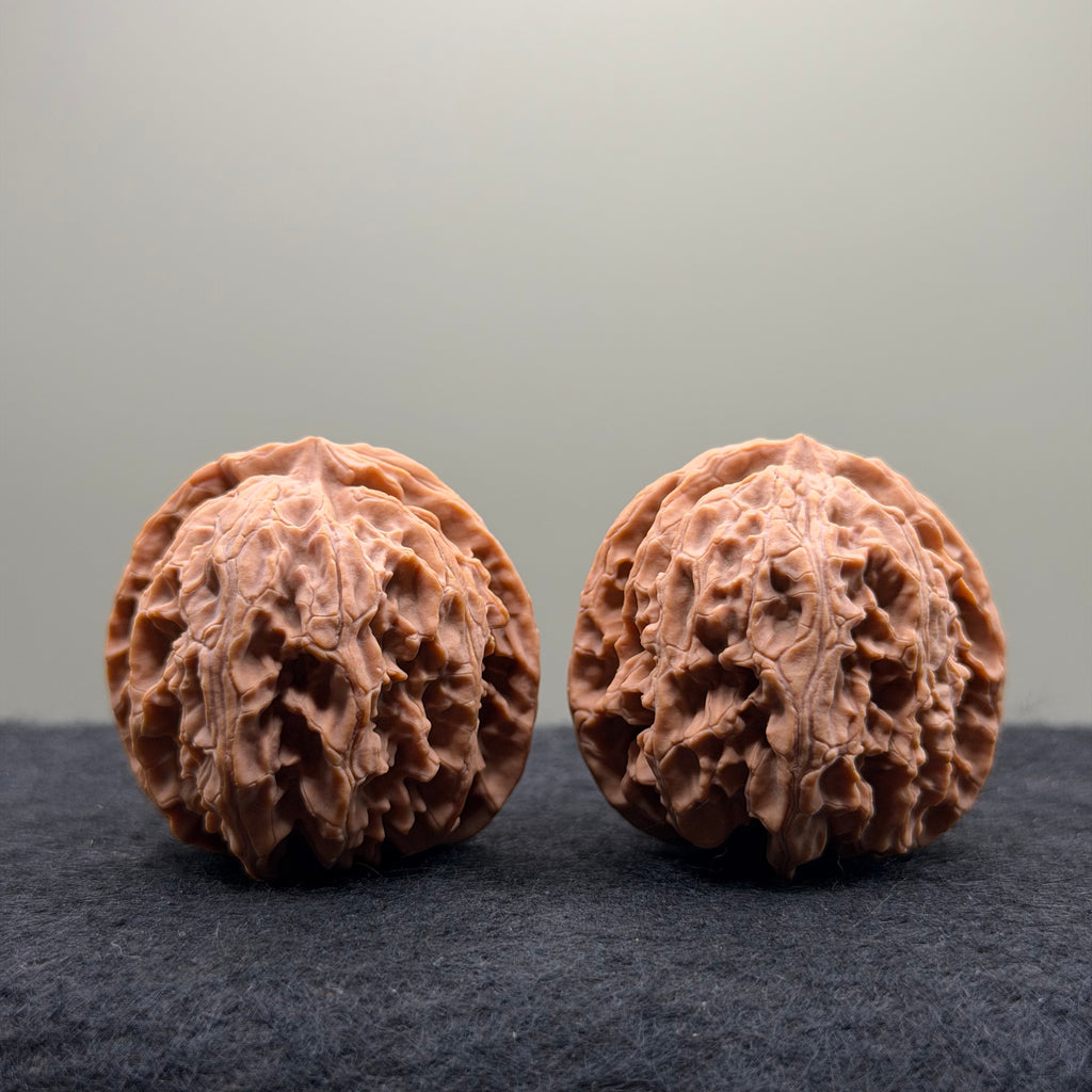 Apple Orchard Wenwan Walnut