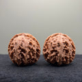Apple Orchard Wenwan Walnut