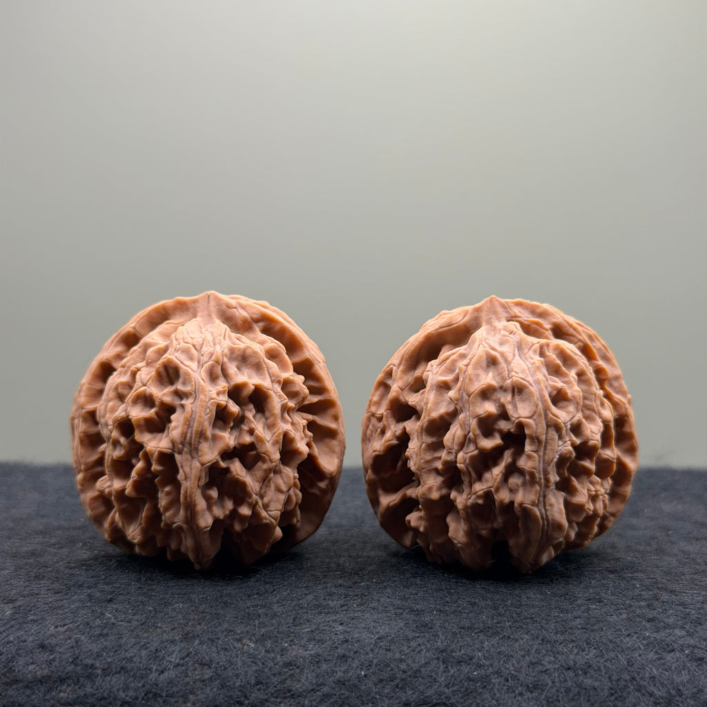 Apple Orchard Wenwan Walnut