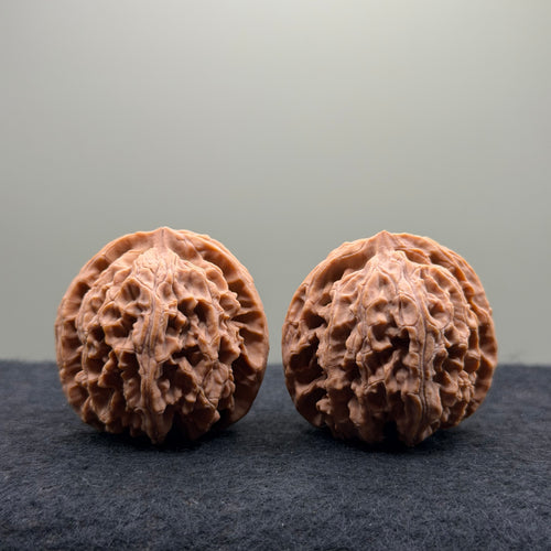 Apple Orchard Wenwan Walnut