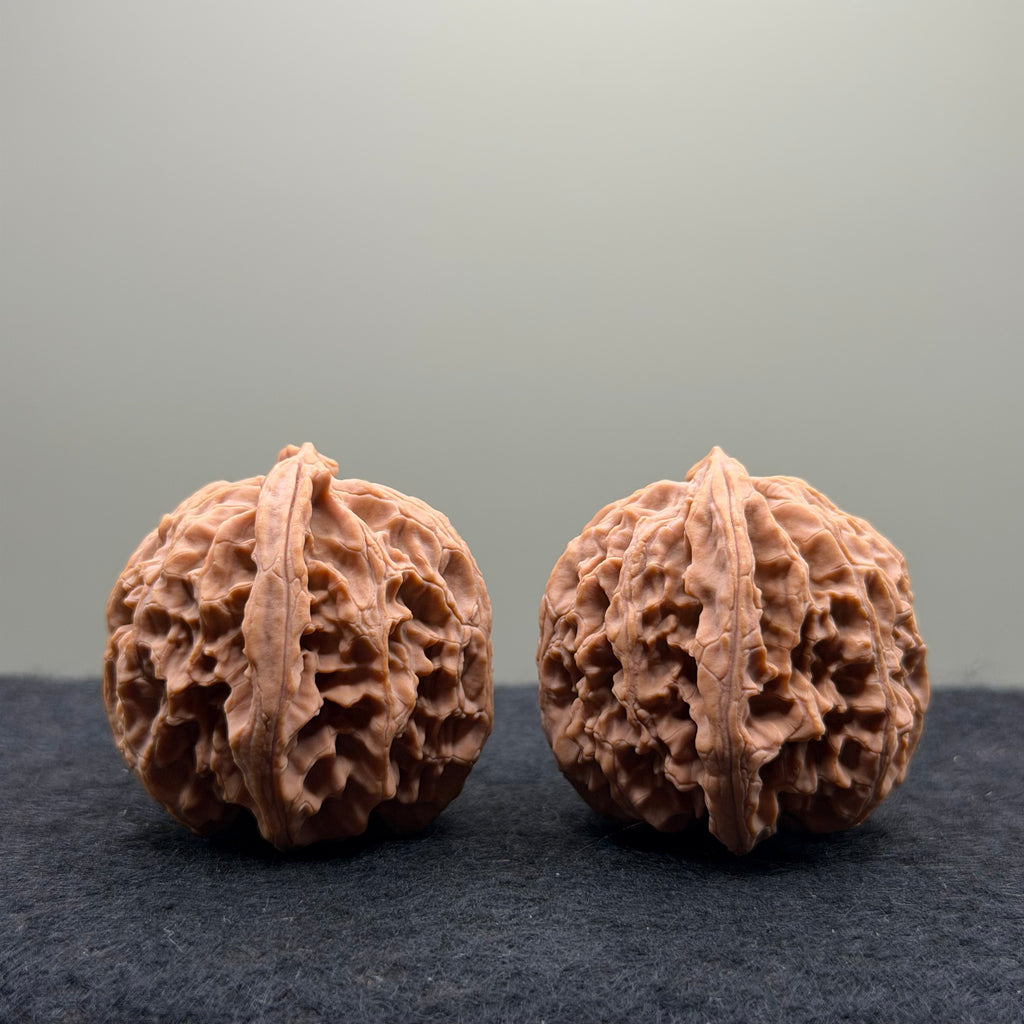 Apple Orchard Wenwan Walnut