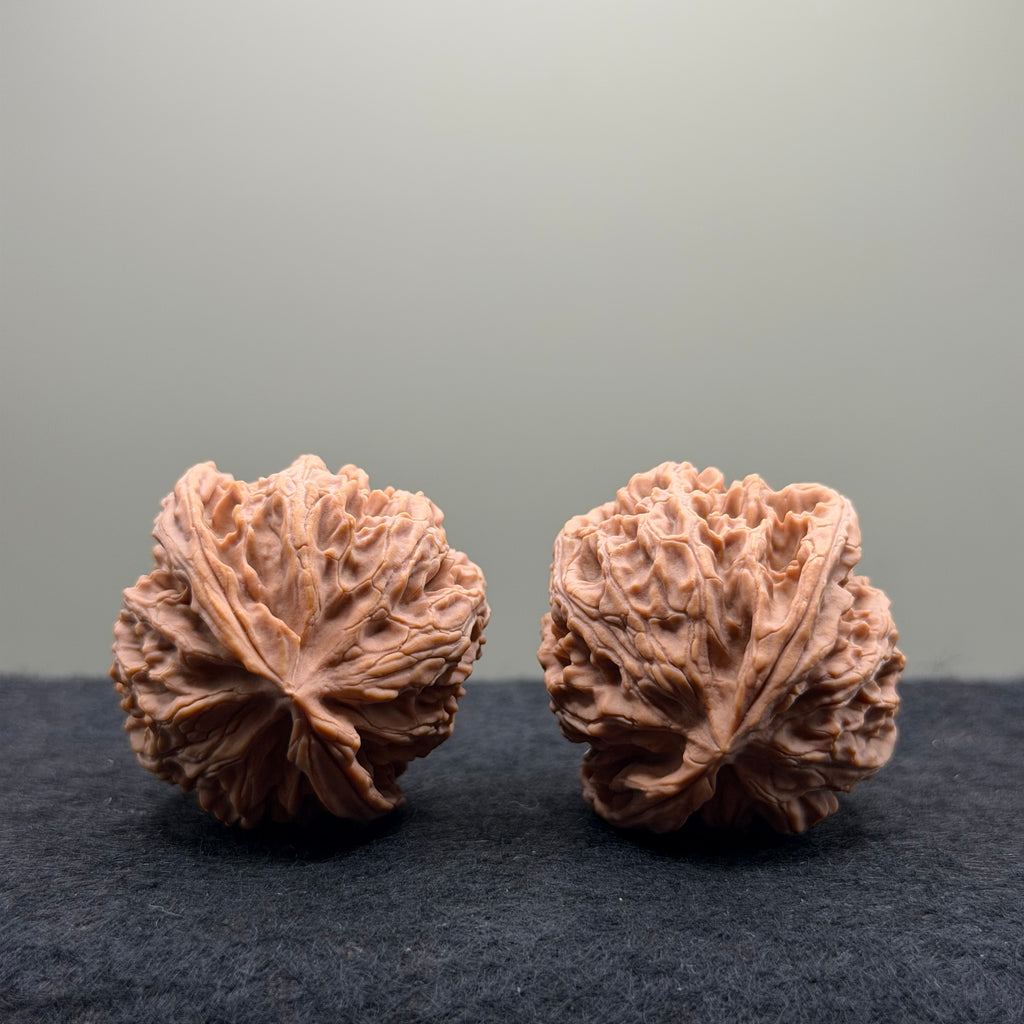 Apple Orchard Wenwan Walnut