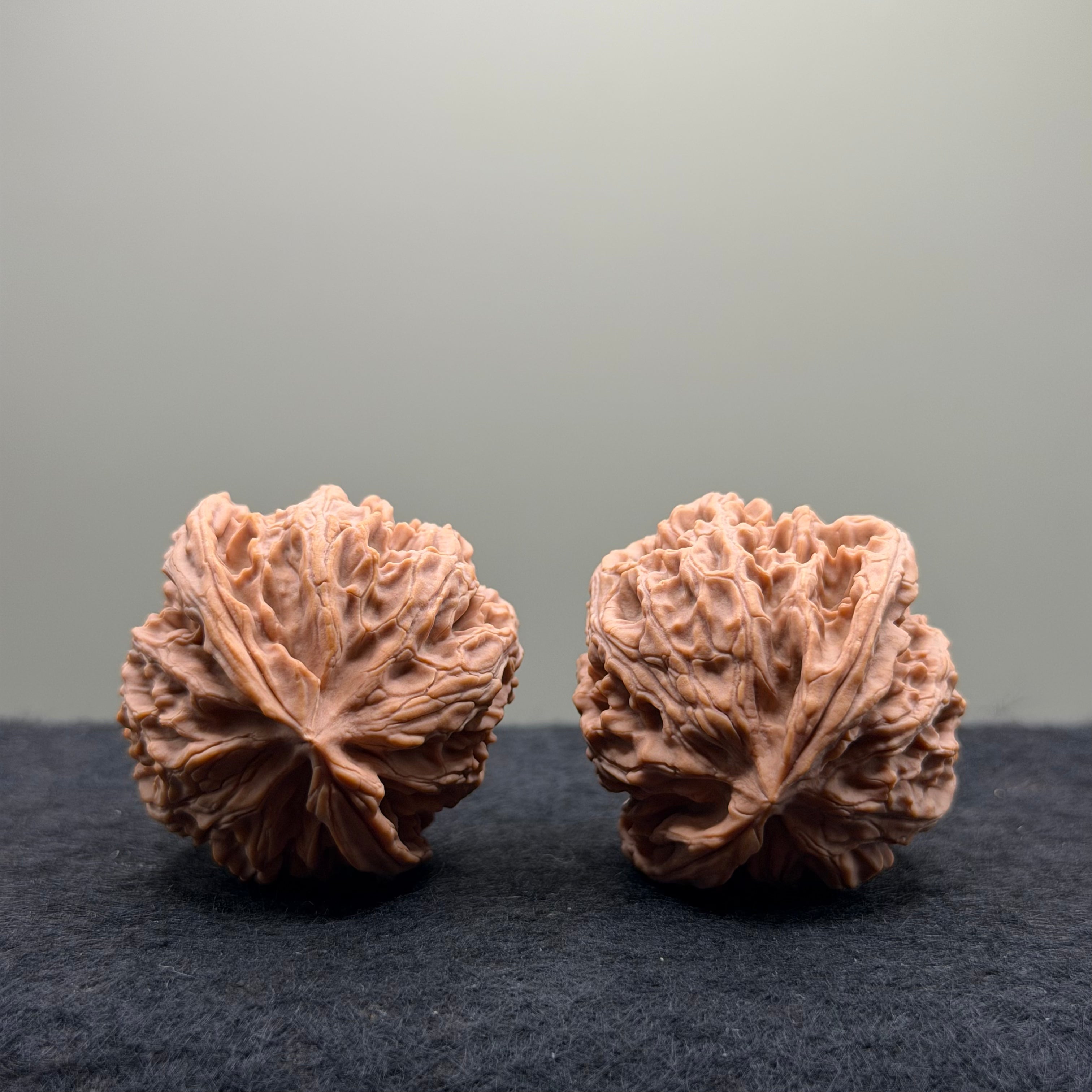 Apple Orchard Wenwan Walnut