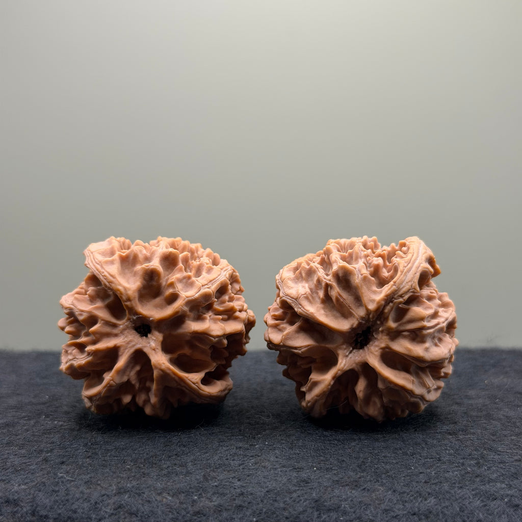 Apple Orchard Wenwan Walnut