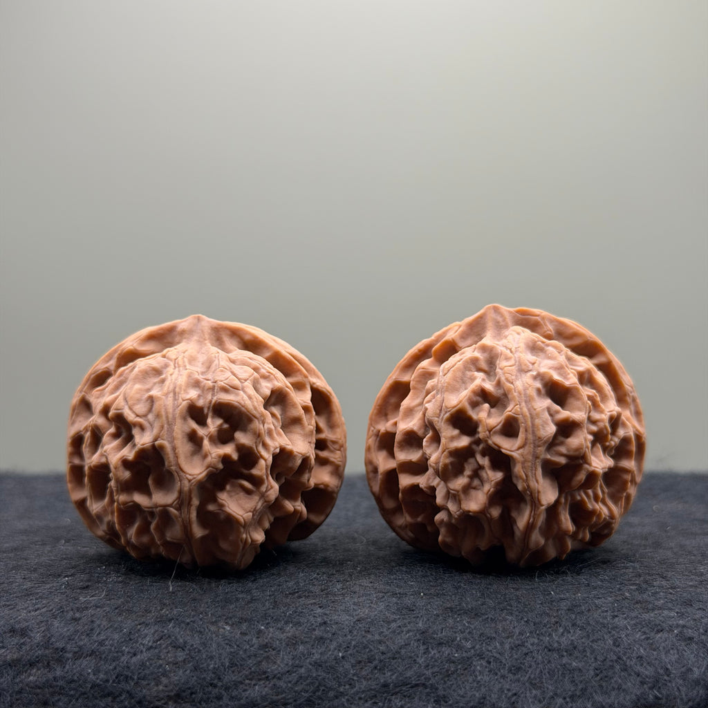 Apple Orchard Wenwan Walnut