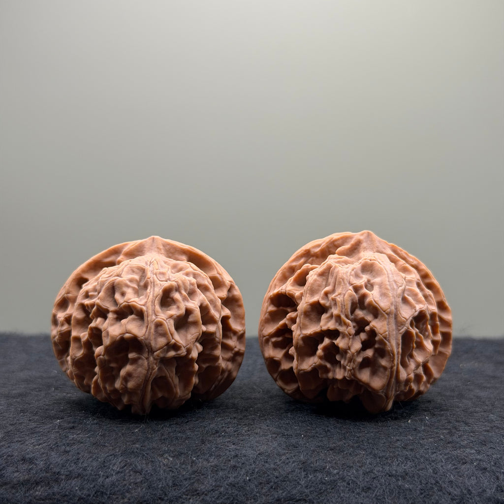 Apple Orchard Wenwan Walnut
