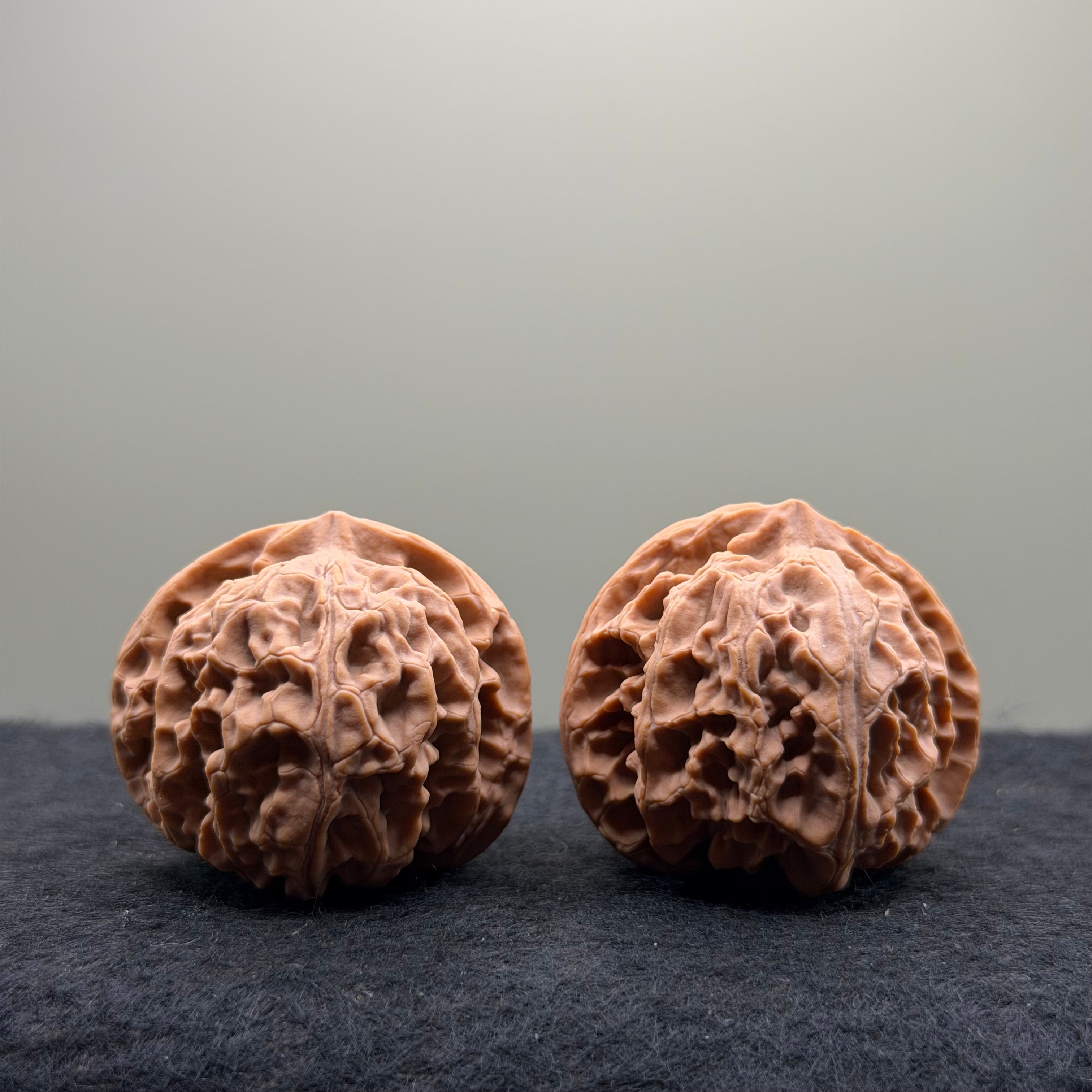 Apple Orchard Wenwan Walnut