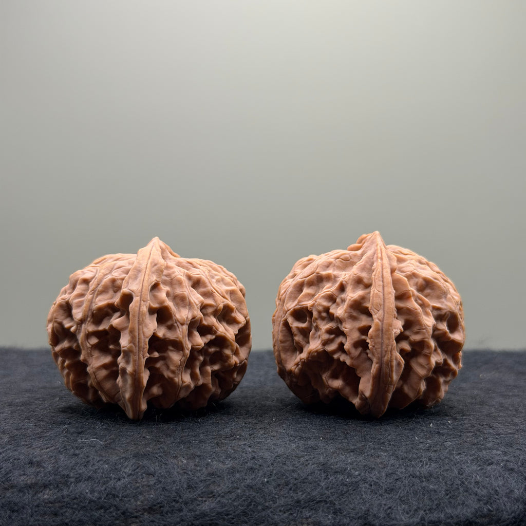 Apple Orchard Wenwan Walnut