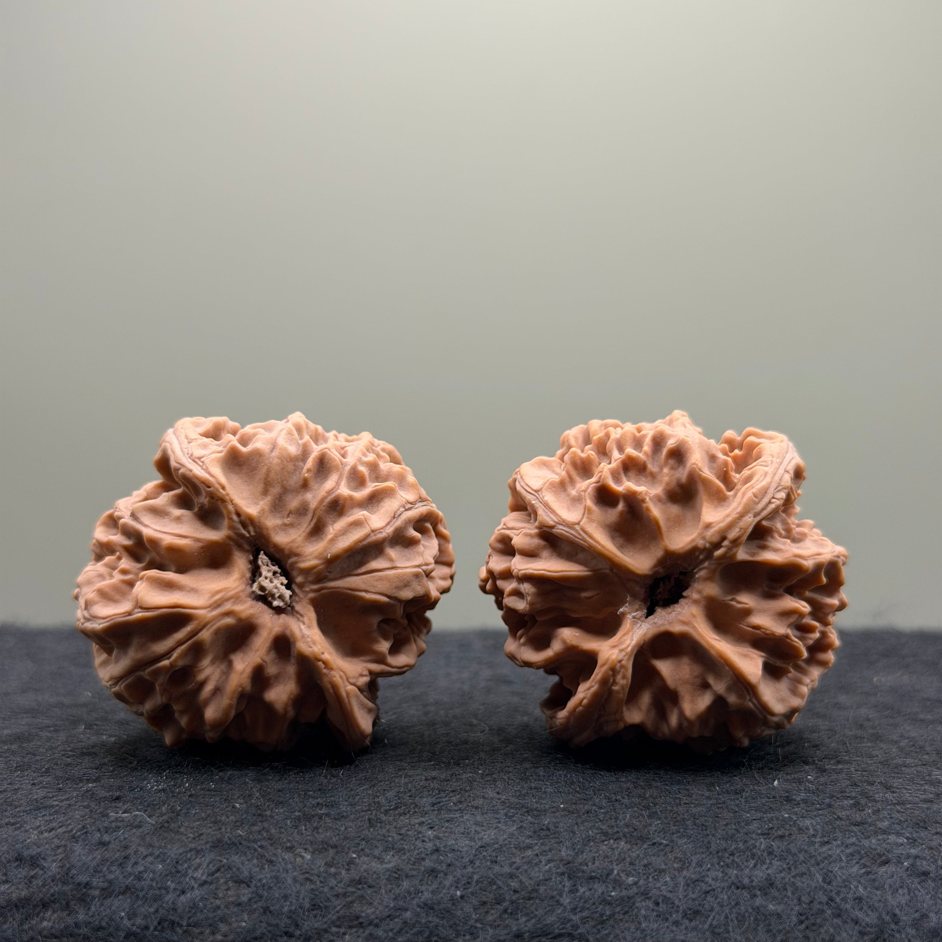 Apple Orchard Wenwan Walnut