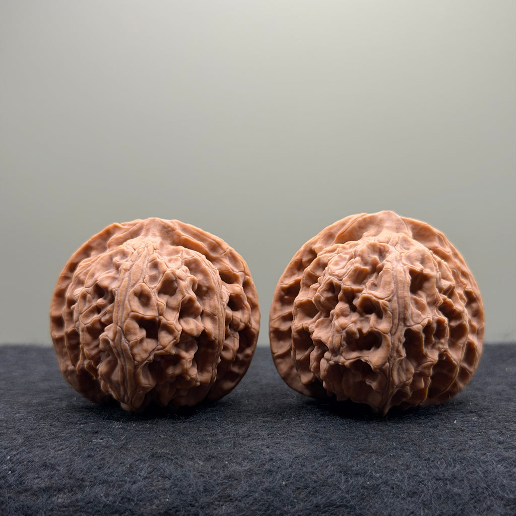 Apple Orchard Wenwan Walnut