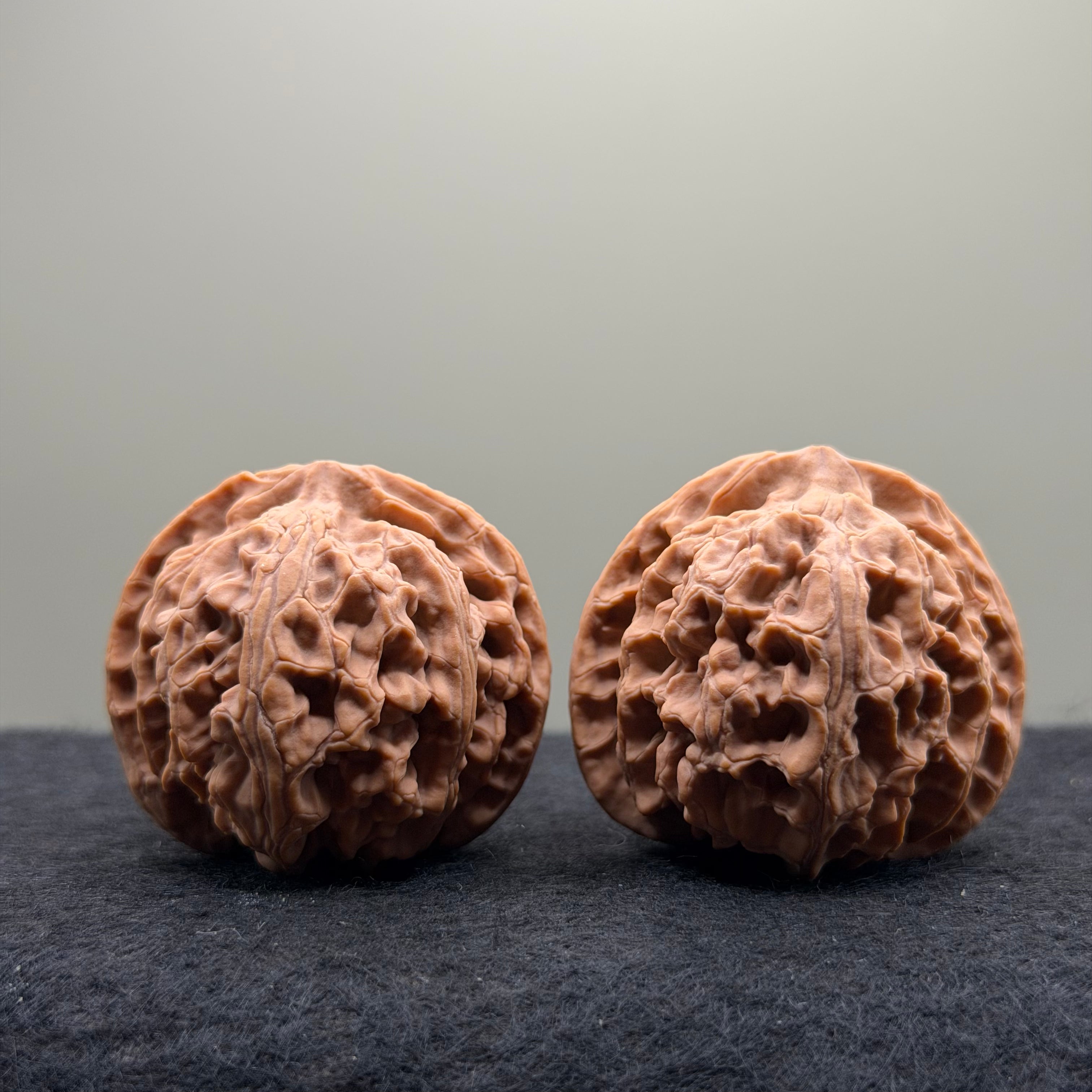 Apple Orchard Wenwan Walnut