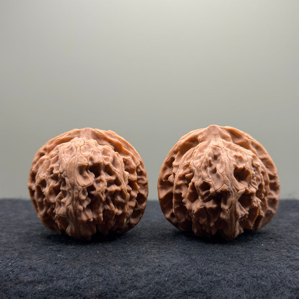 Apple Orchard Wenwan Walnut