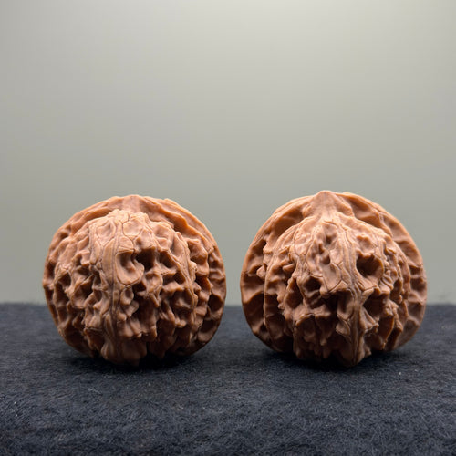 Apple Orchard Wenwan Walnut