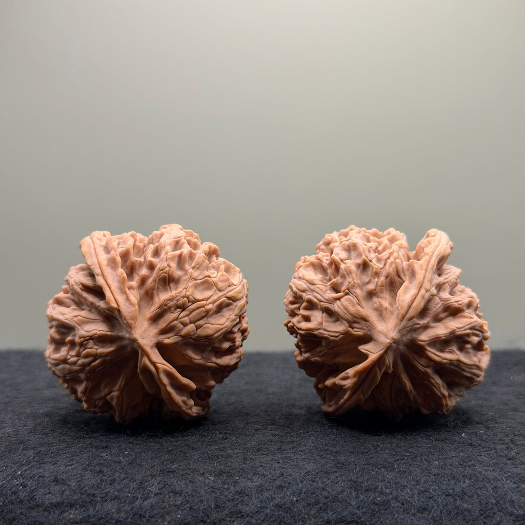 Apple Orchard Wenwan Walnut