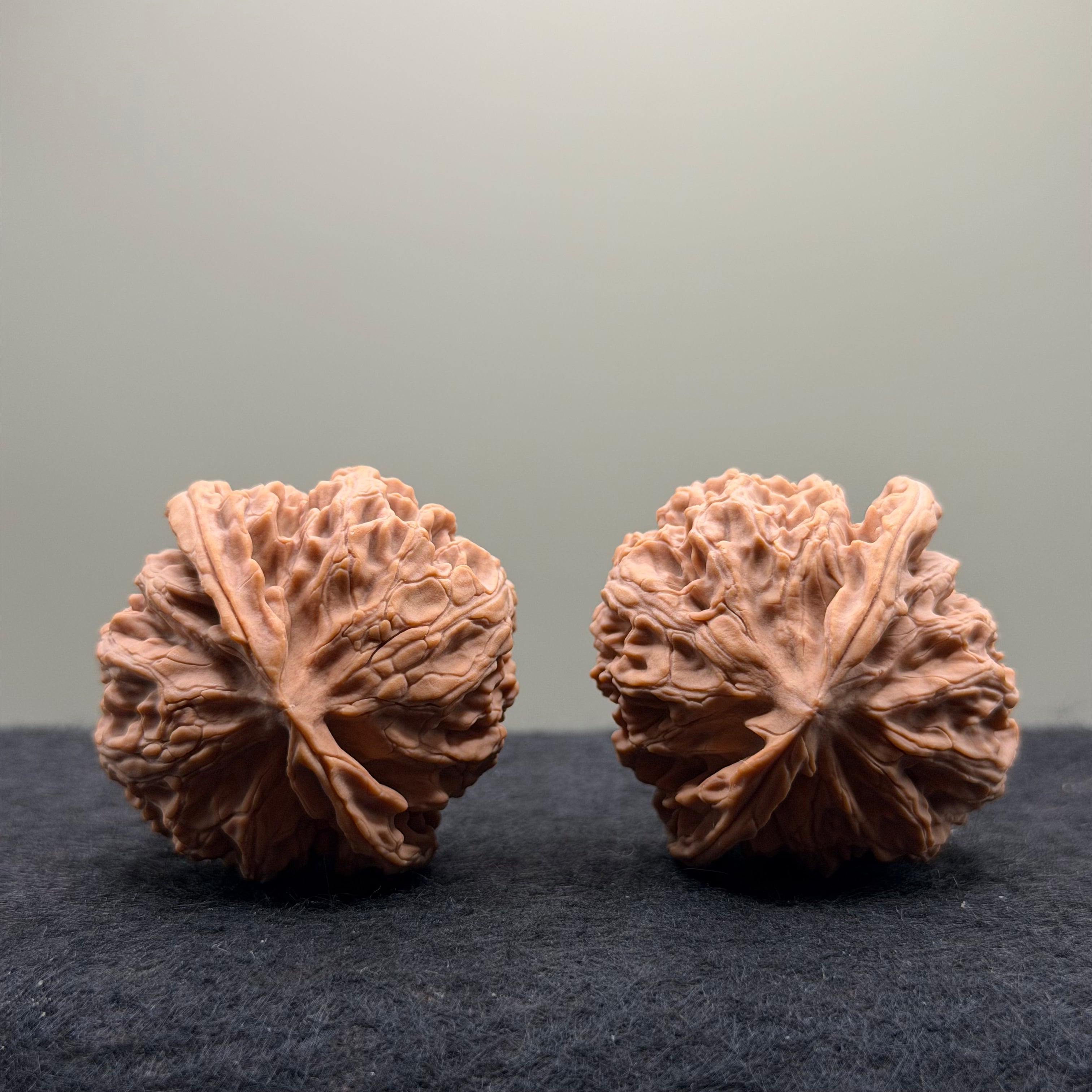 Apple Orchard Wenwan Walnut