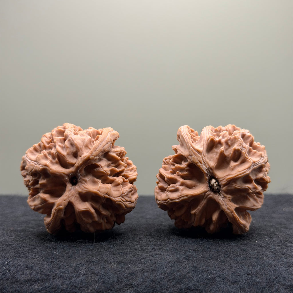 Apple Orchard Wenwan Walnut