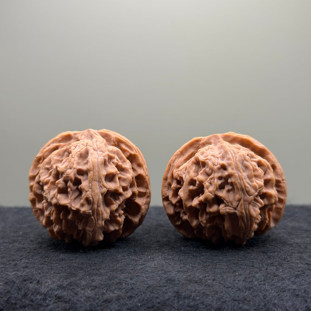 Apple Orchard Wenwan Walnut
