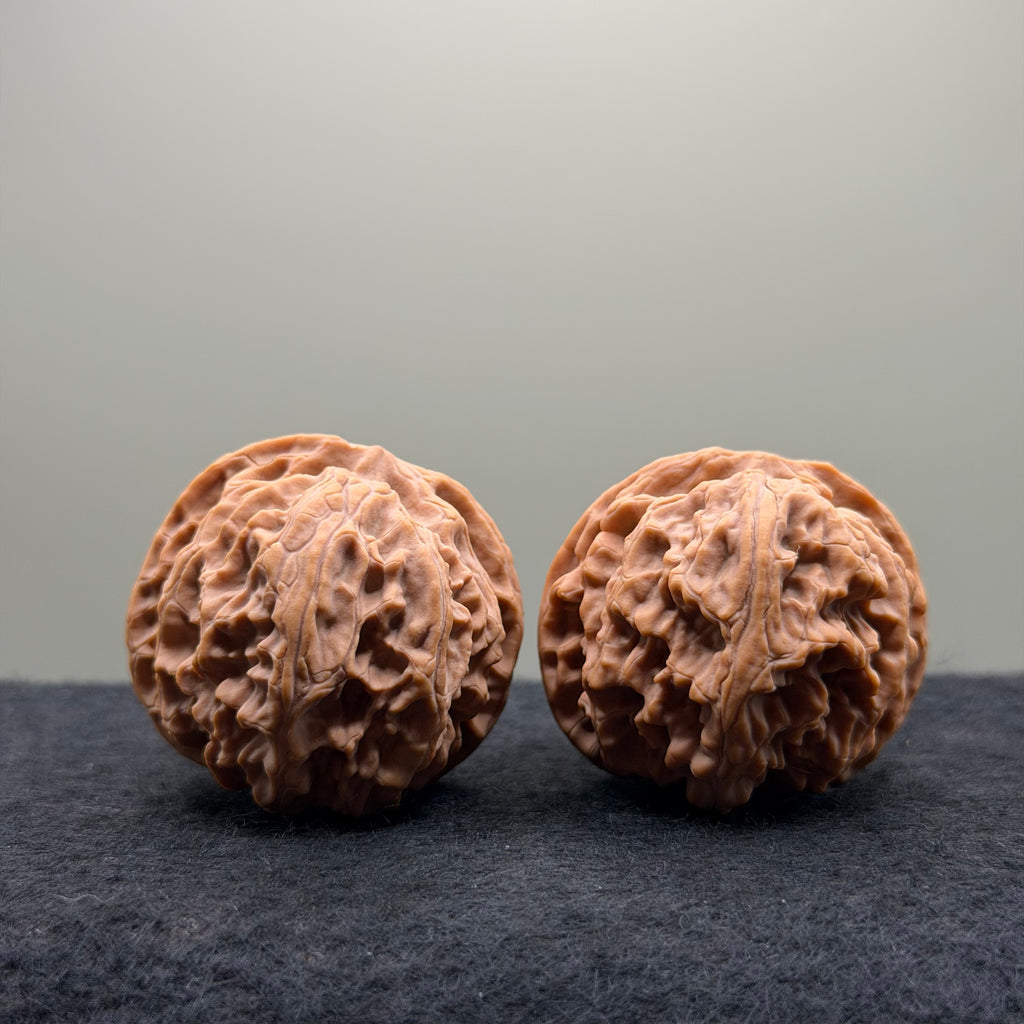 Apple Orchard Wenwan Walnut