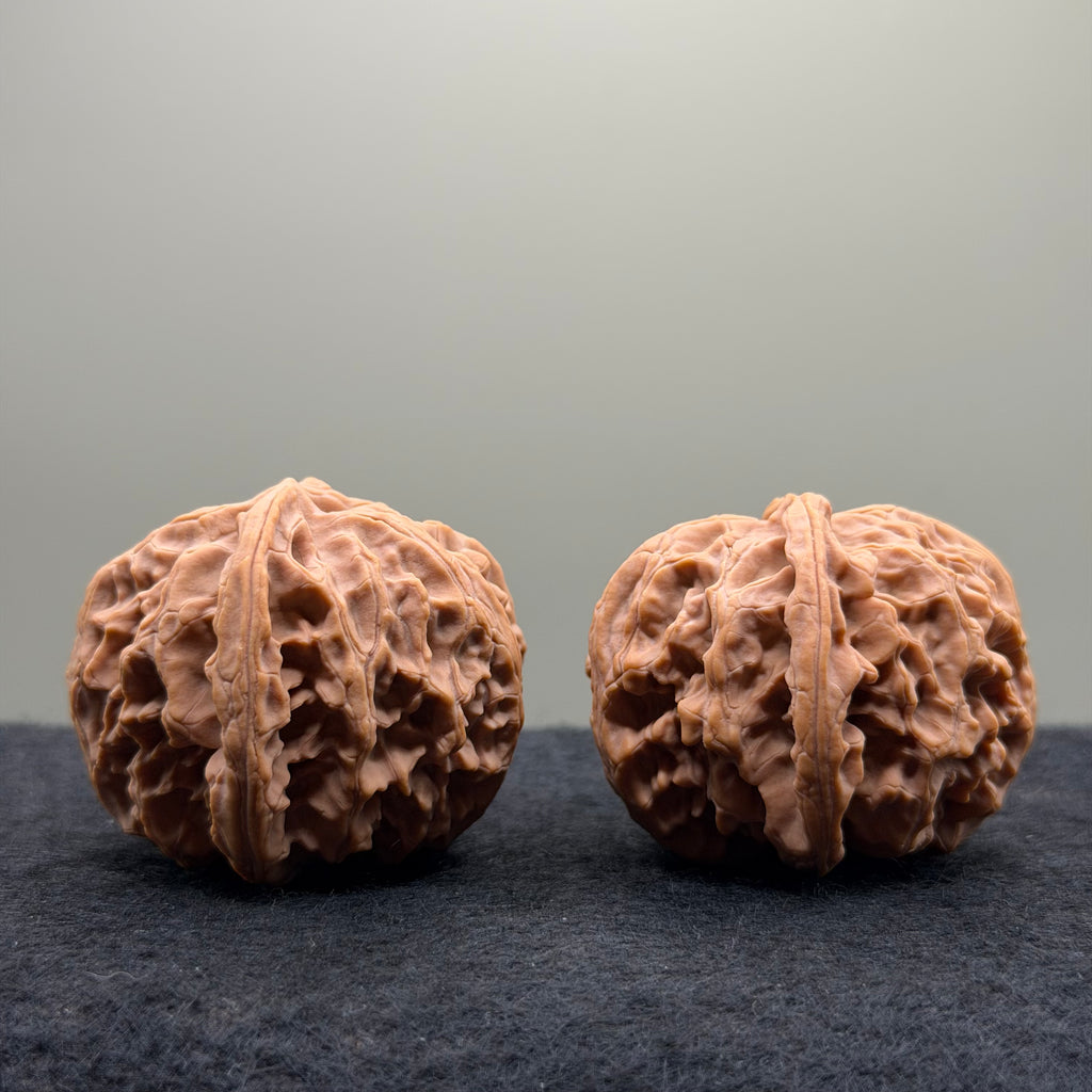 Apple Orchard Wenwan Walnut