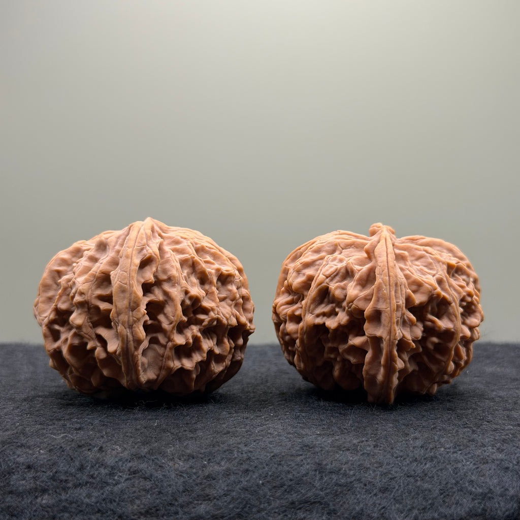 Apple Orchard Wenwan Walnut