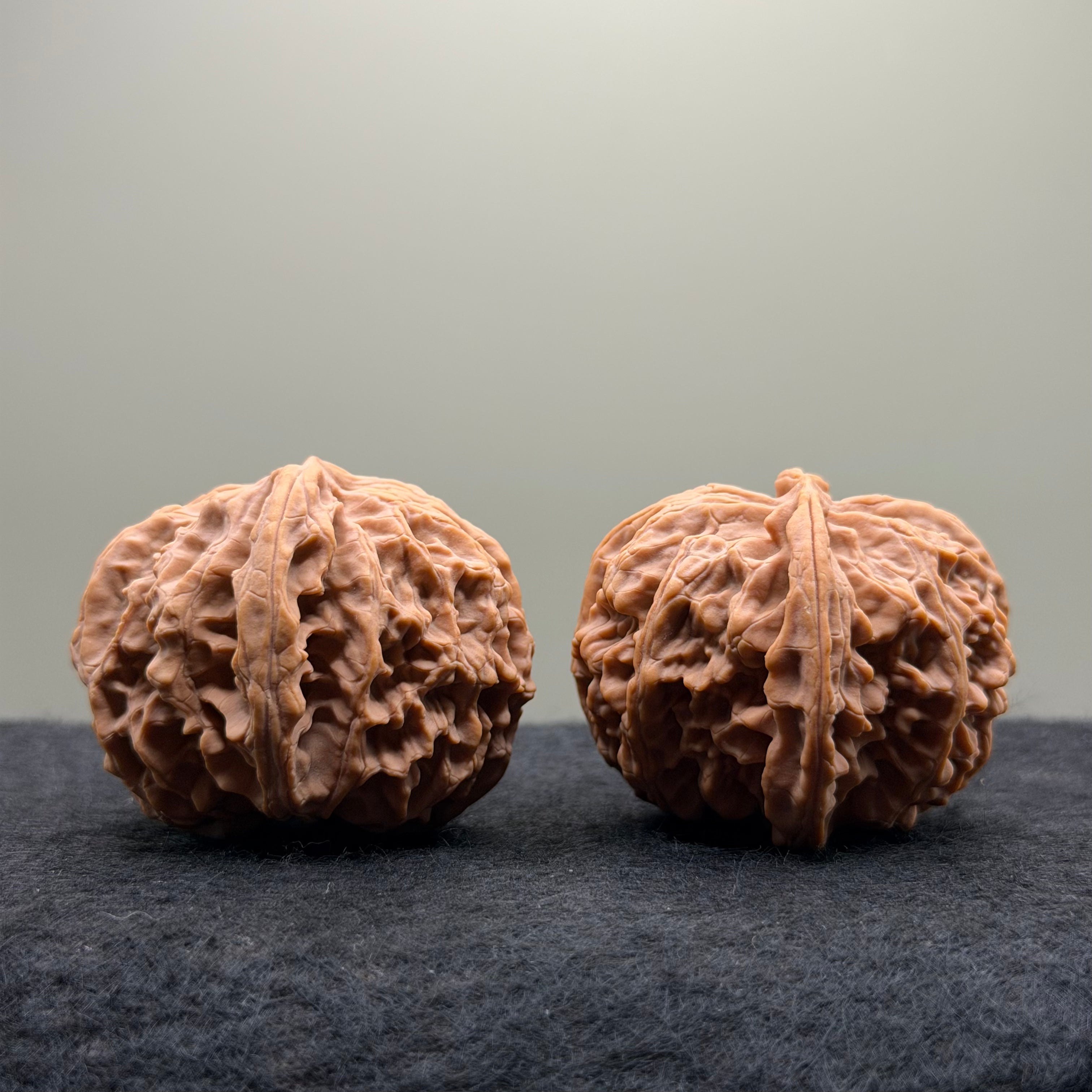 Apple Orchard Wenwan Walnut