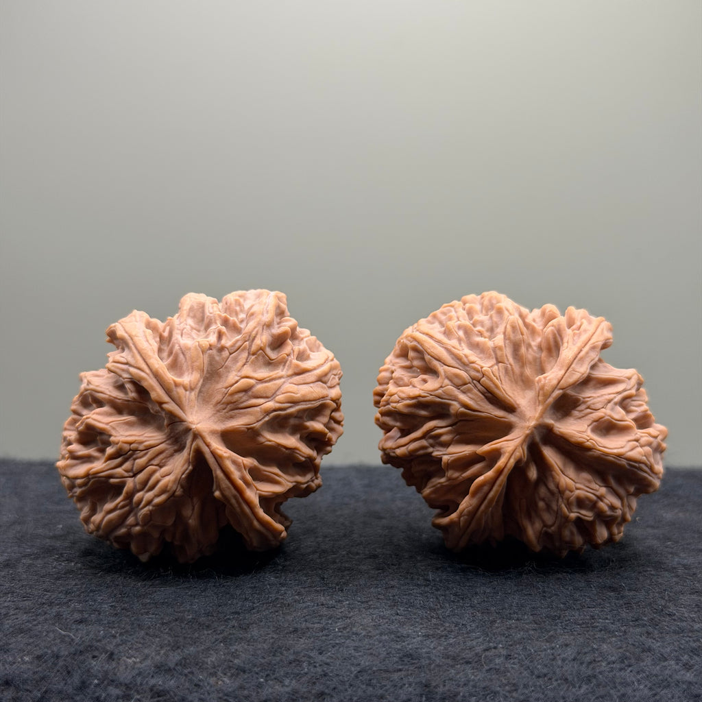 Apple Orchard Wenwan Walnut