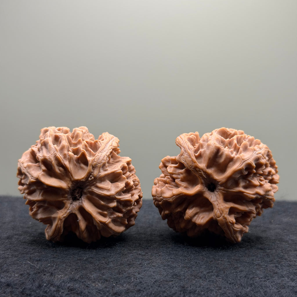 Apple Orchard Wenwan Walnut