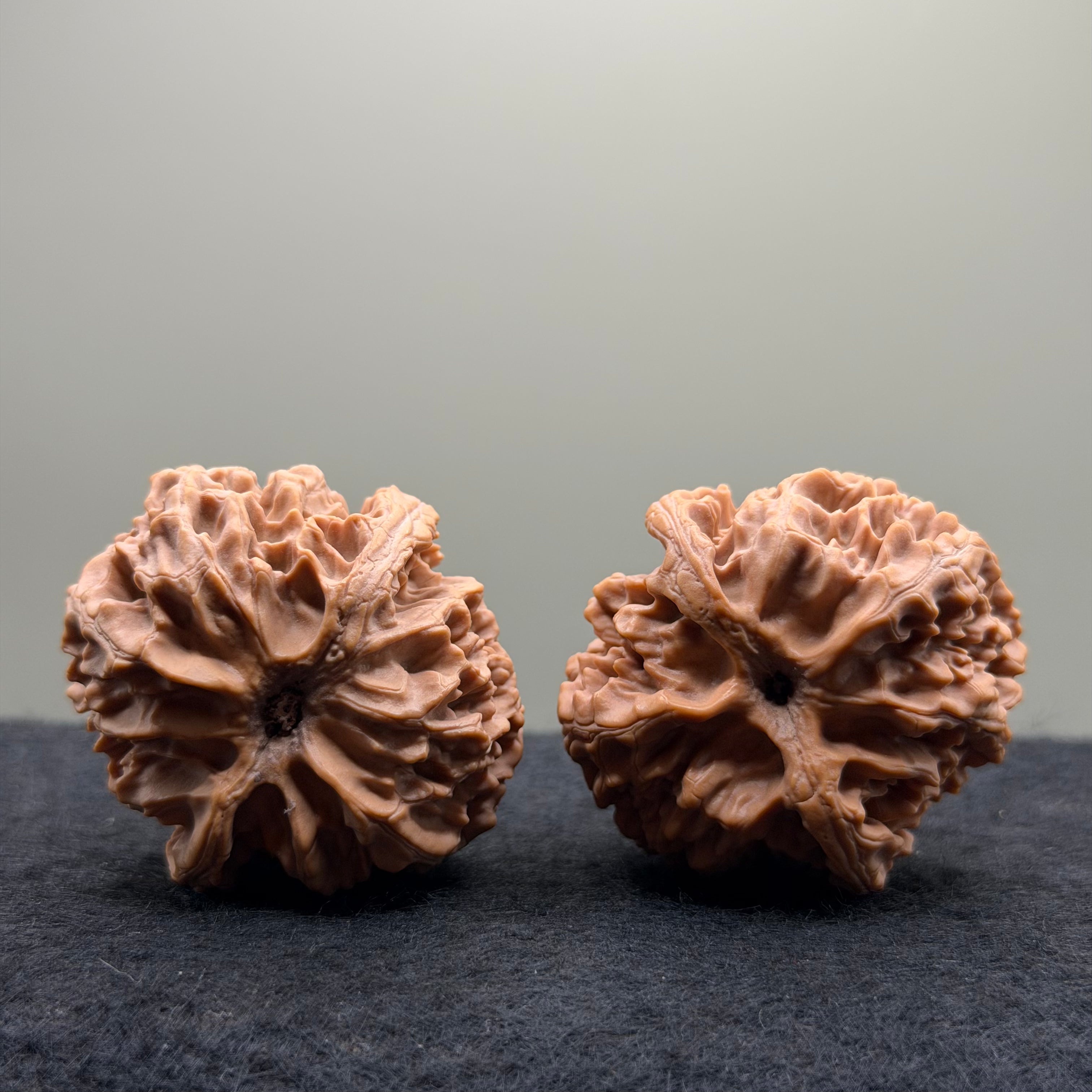 Apple Orchard Wenwan Walnut