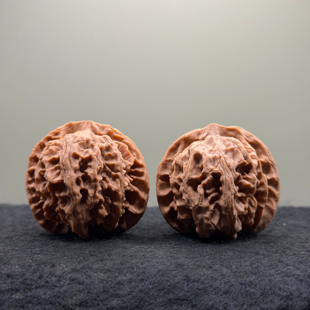 Apple Orchard Wenwan Walnut