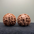 Apple Orchard Wenwan Walnut